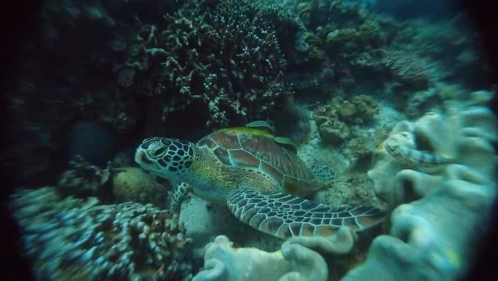 1Peace Beach Resort أندا المظهر الخارجي الصورة
