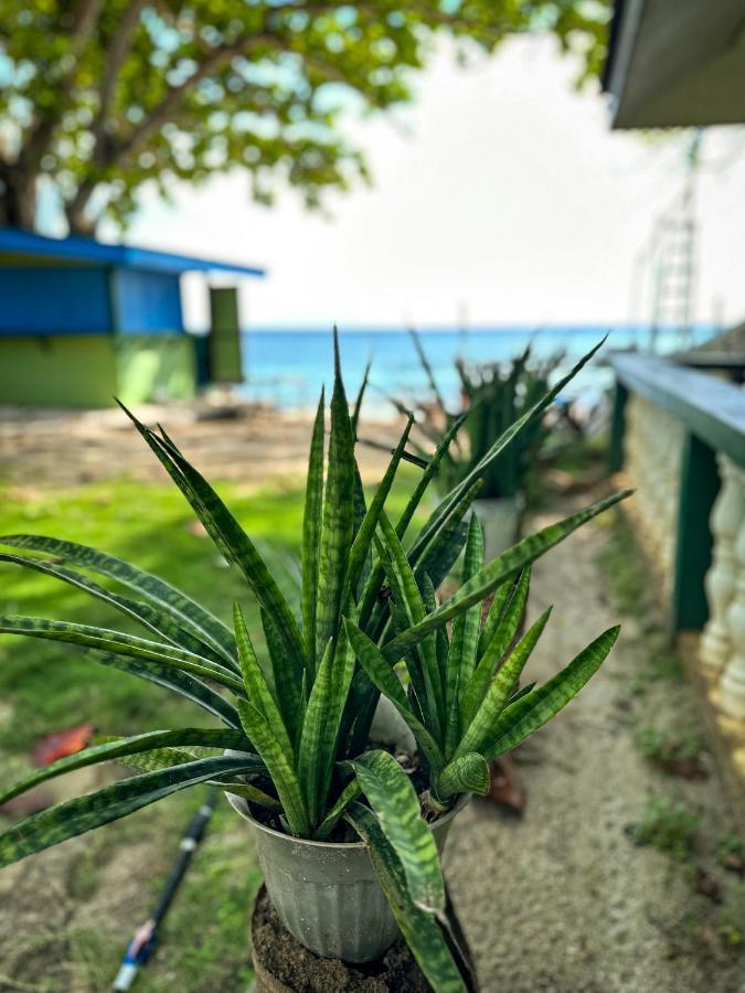 1Peace Beach Resort أندا المظهر الخارجي الصورة